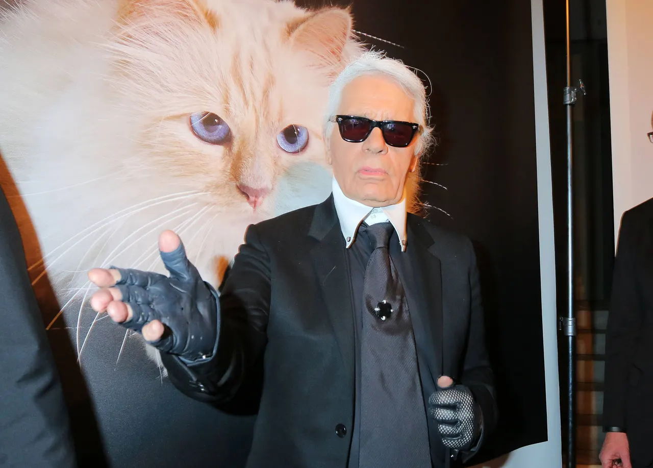 Karl Lagerfelds Katze Choupette gibt sein Vermögen aus Karl Lagerfeld hinterließ seiner Katze einen Teil seines Vermögens. Damit wird jedoch nicht gerade sparsam umgegangen.
- Foto: IMAGO / Tinkeres