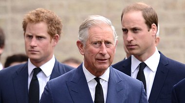 Prinz Harry, König Charles und Prinz William - Foto: Karwai Tang/WireImage/GettyImages