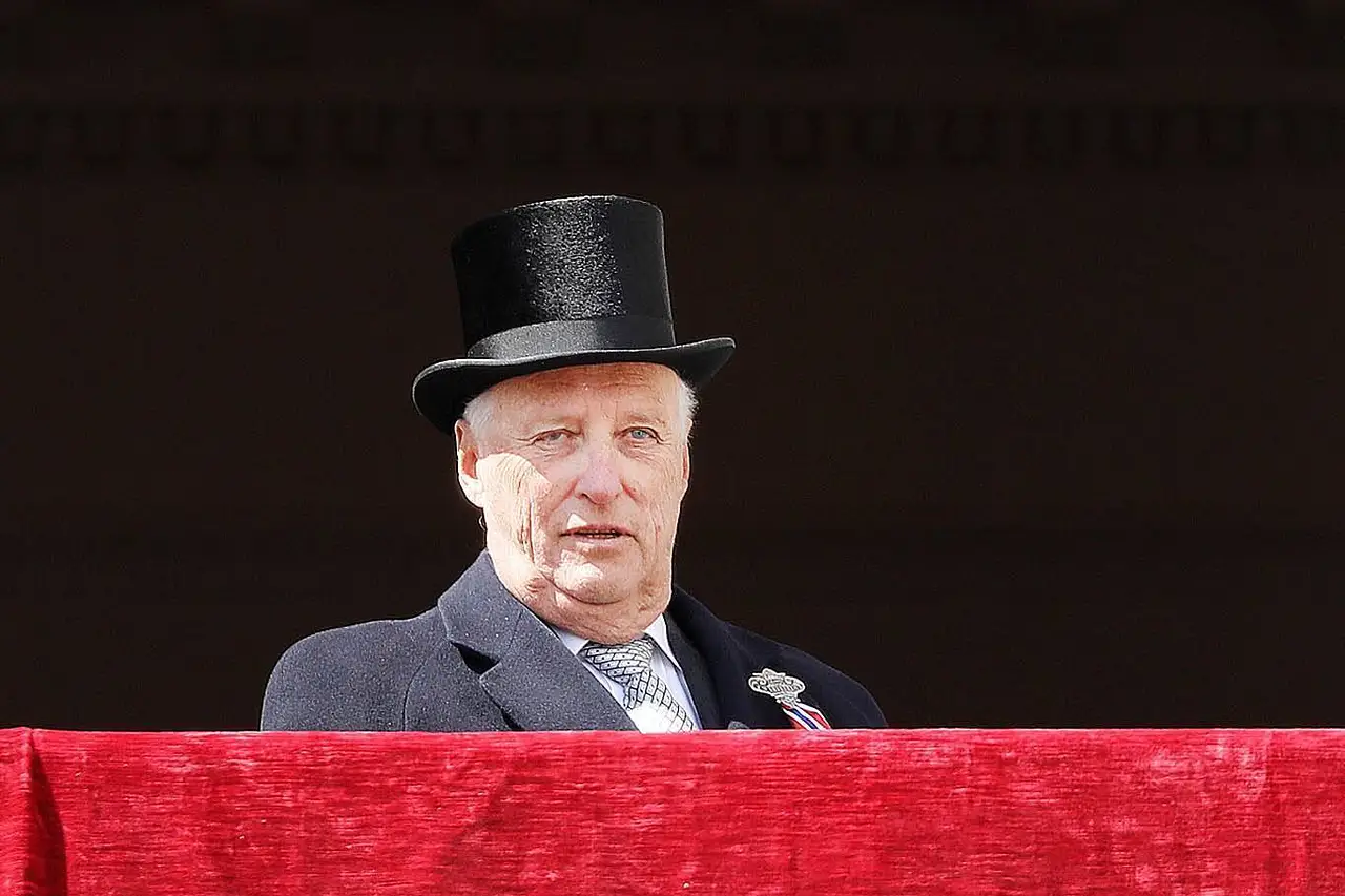 König Harald blickt in die Ferne.