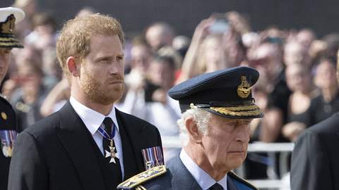 König Charles und Prinz Harry - Foto: Imago /  Cover-Images