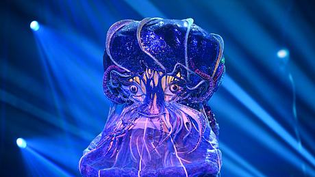 Masked Singer: Qualle - Foto: Joyn / Willi Weber