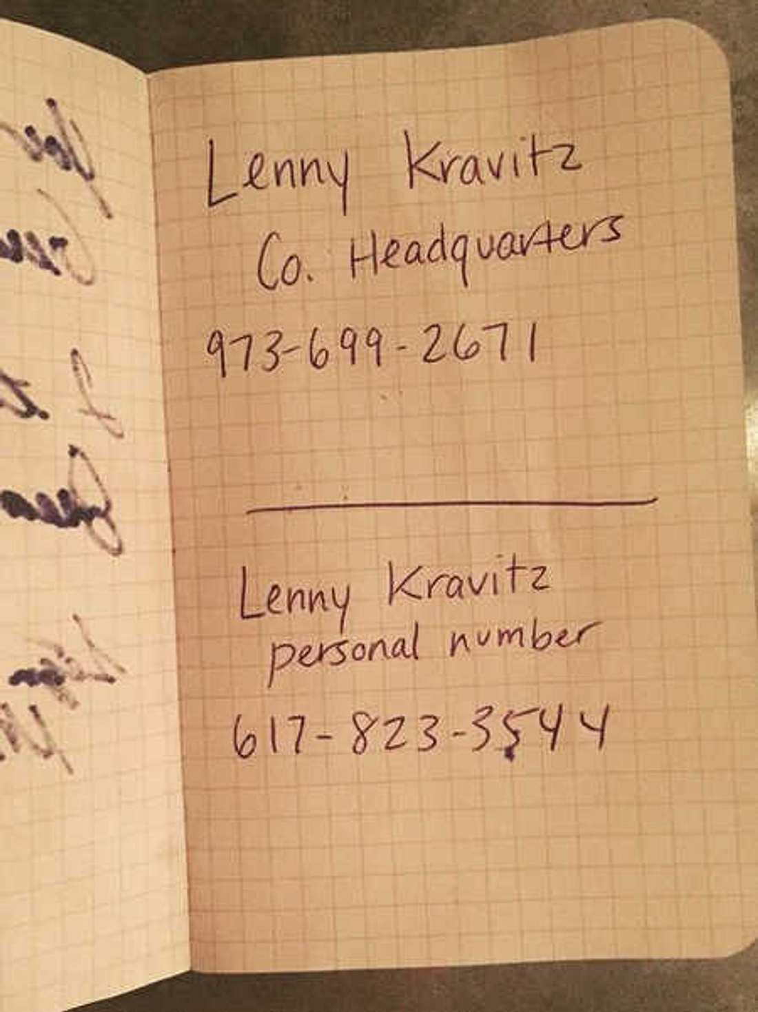 Mischa Barton postet Handynummer von Lenny Kravitz