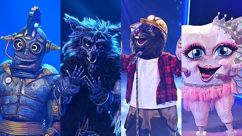 The Masked Singer - Foto: ProSieben/ Willi Weber