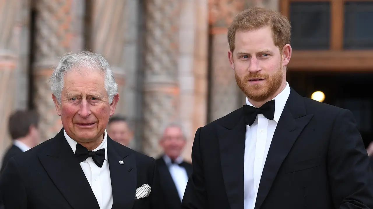 König Charles und Prinz Harry König Charles und Prinz Harry - Foto: Imago