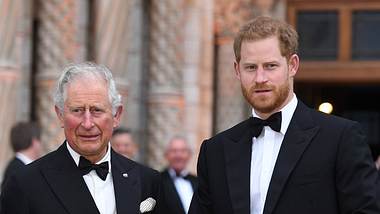 König Charles und Prinz Harry - Foto: Imago
