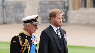 Prinz Harry & König Charles - Foto: DAVID ROSE/POOL/AFP via Getty Images