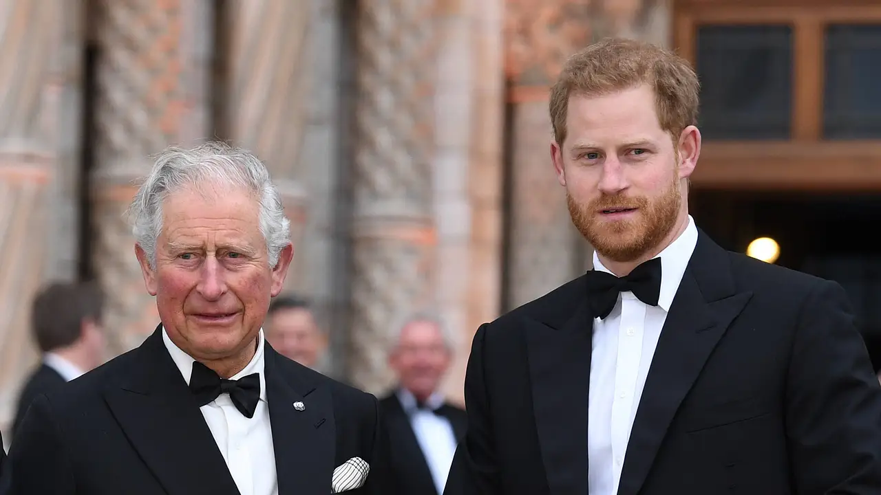 König Charles und Prinz Harry König Charles und Prinz Harry - Foto: Imago