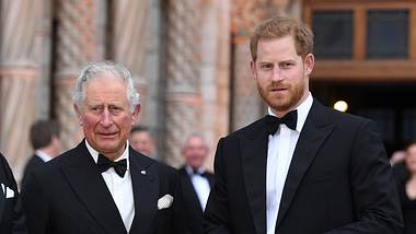 König Charles und Prinz Harry - Foto: Imago