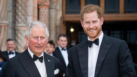 Prinz Charles und Prinz Harry - Foto: GettyImages