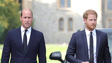 Prinz Harry und Prinz William - Foto: Imago / i Images