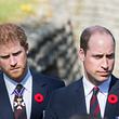 Prinz Harry und Prinz William - Foto: Samir Hussein/ WireImage