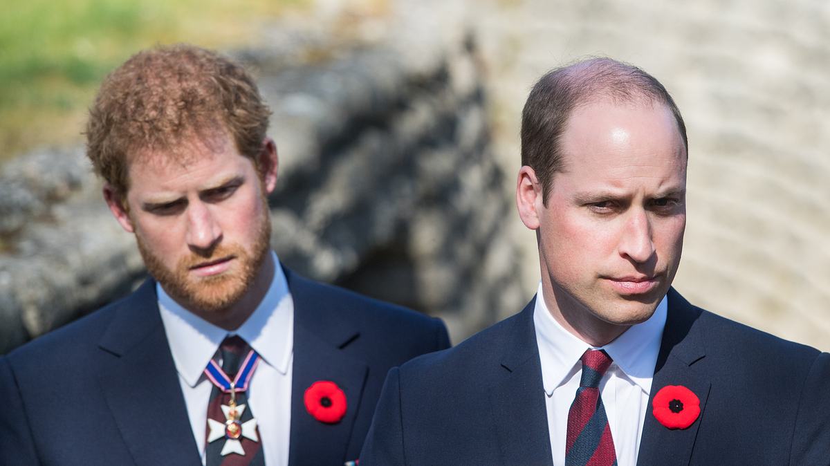 Prinz Harry und Prinz William