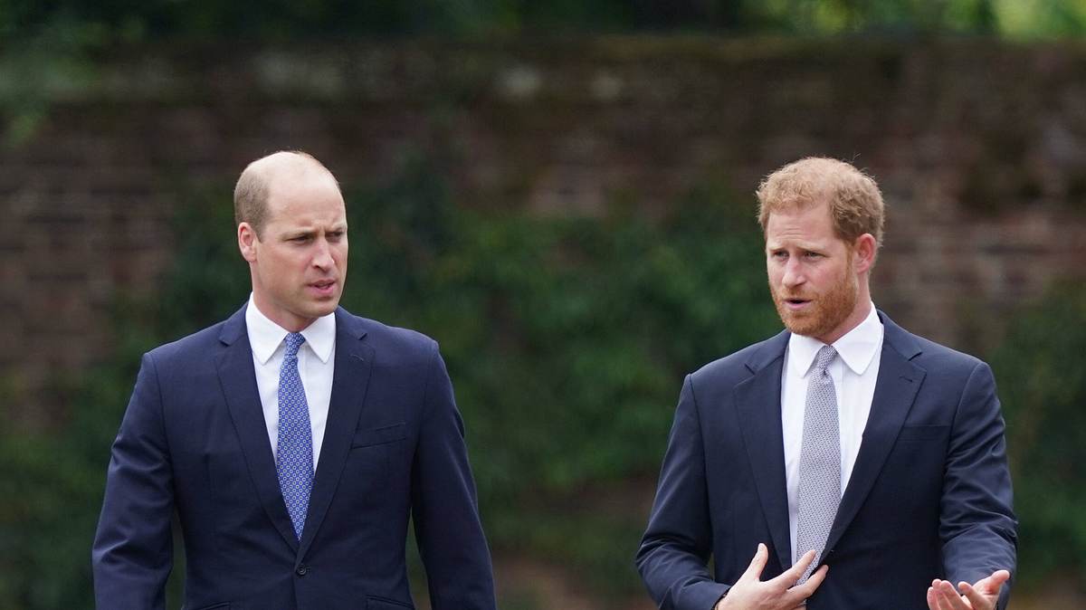 Prinz Harry Prinz William