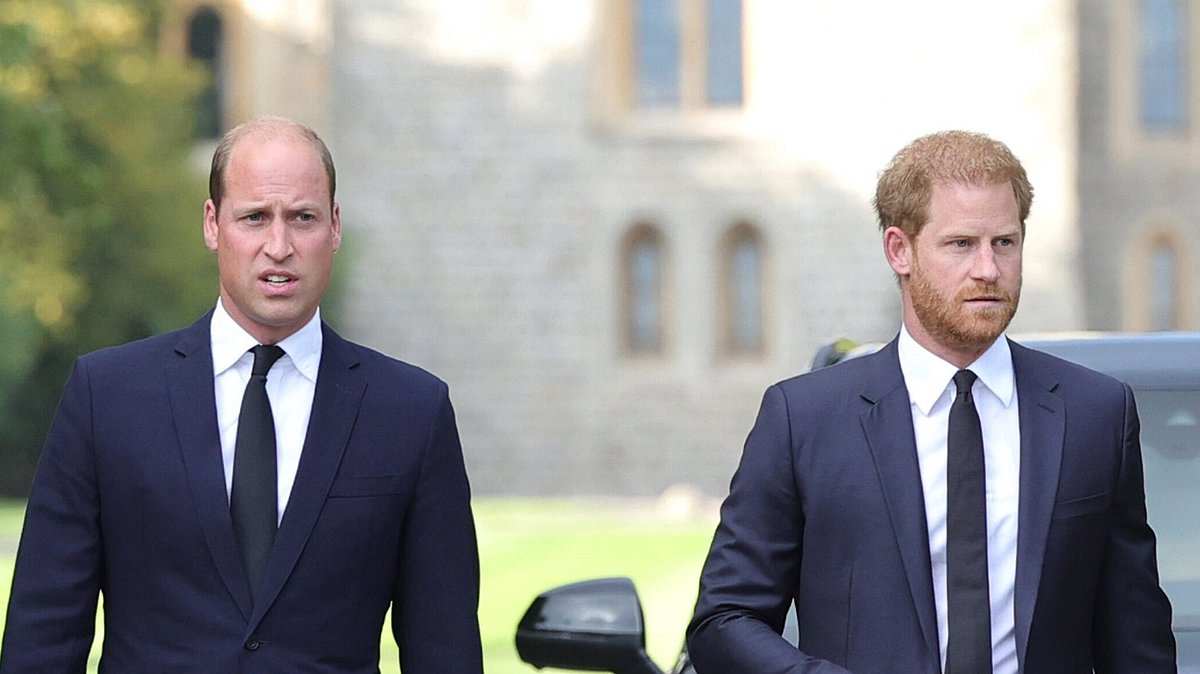 Prinz Harry Prinz William