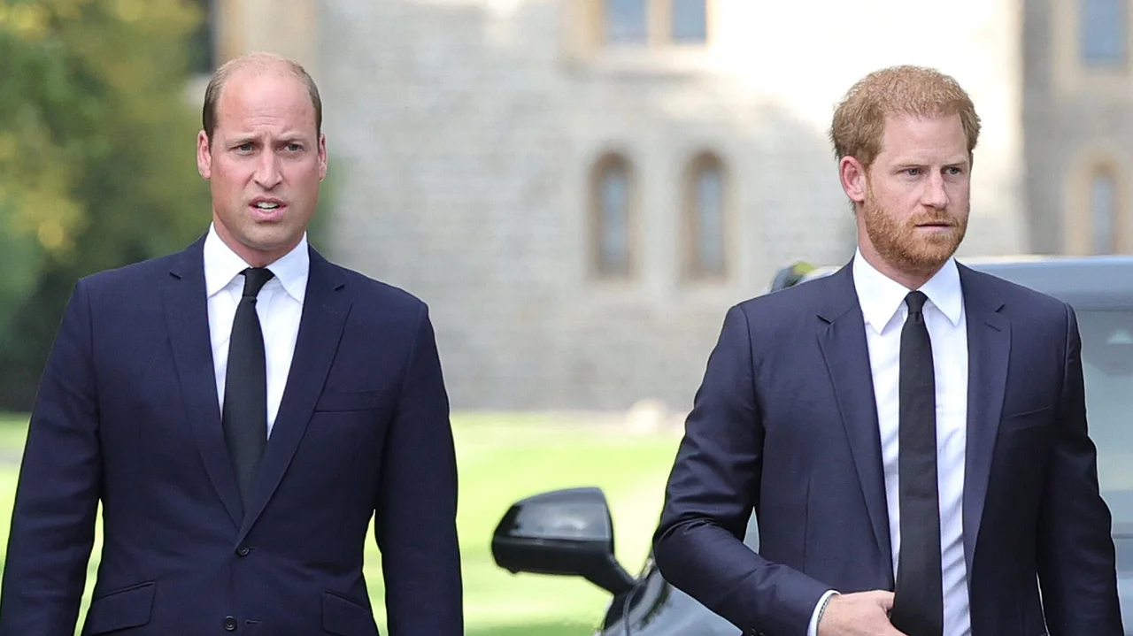 Prinz Harry Prinz William Prinz Harry Prinz William - Foto: Imago / i Images