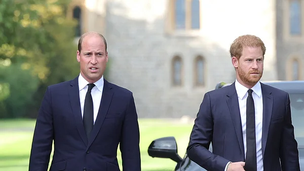 Prinz Harry Prinz William