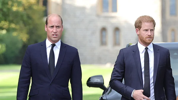 Prinz Harry Prinz William