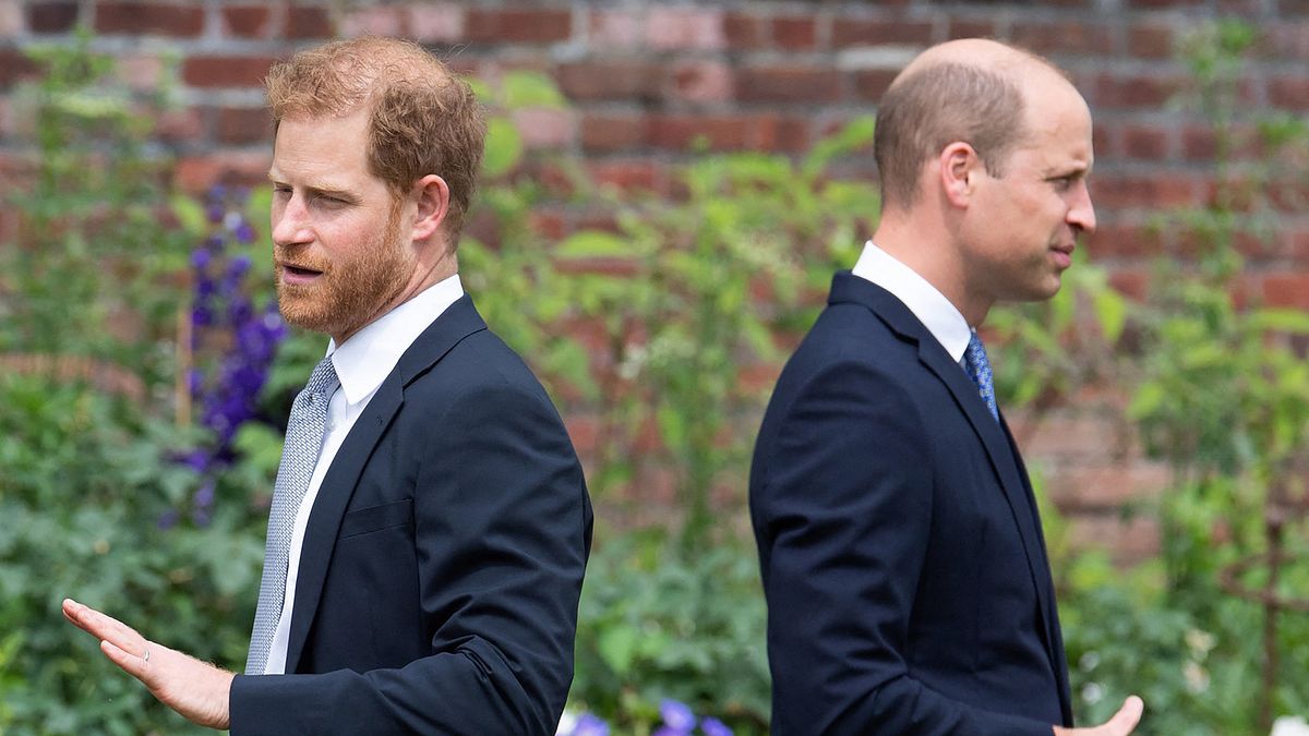 Prinz Harry und Prinz William