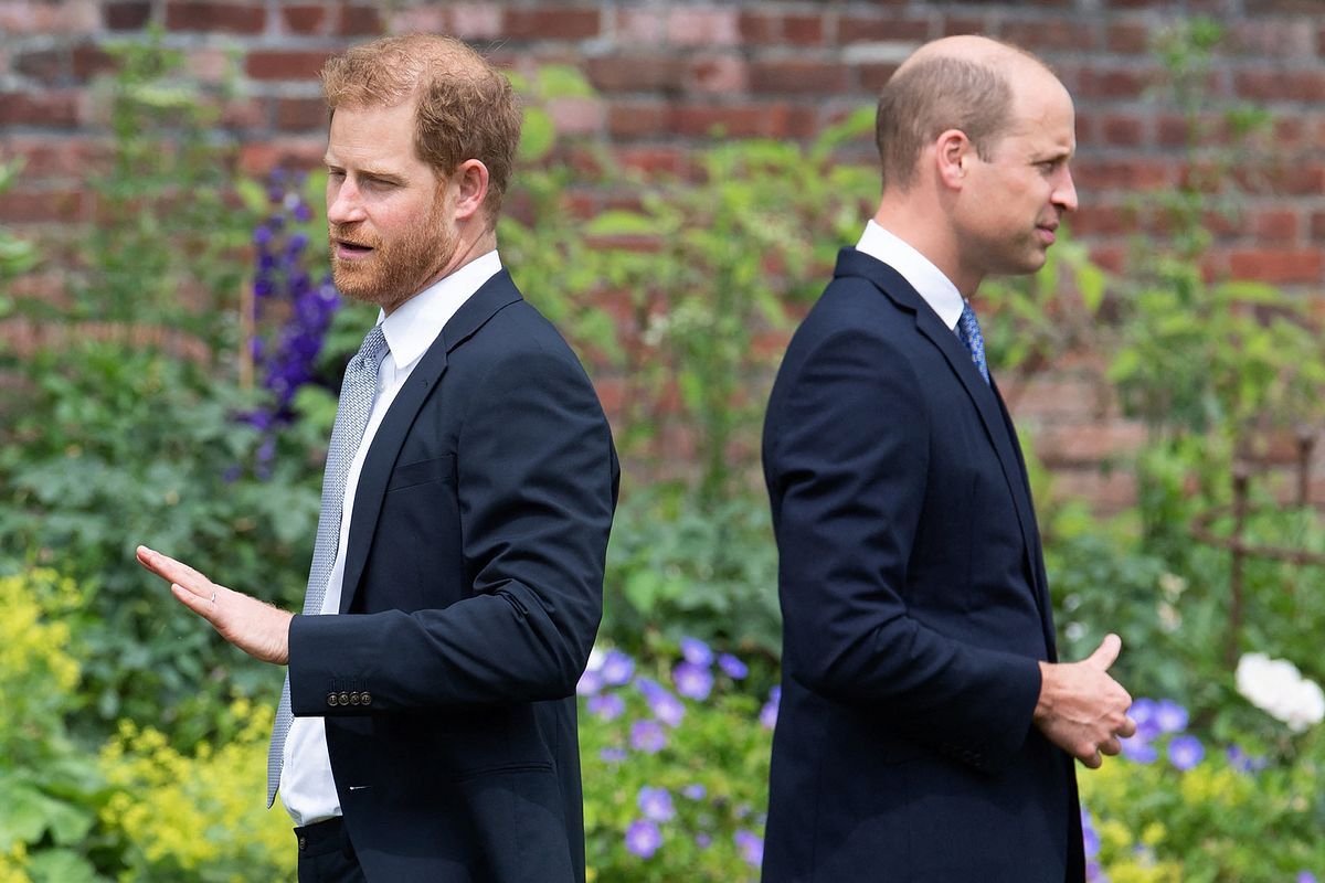 Prinz William und Prinz Harry