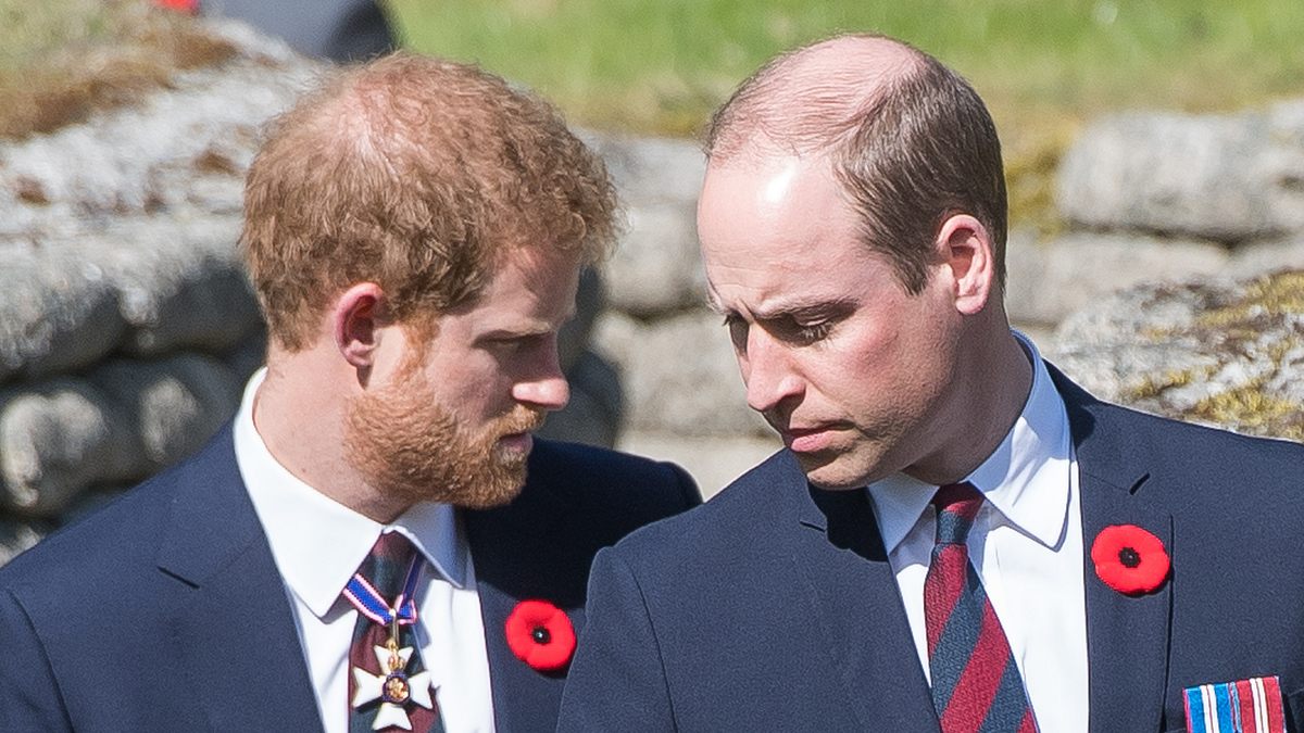 Prinz Harry und Prinz William