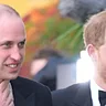Prinz Harry Prinz William