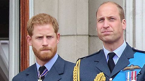 Prinz William und Prinz Harry - Foto: Imago