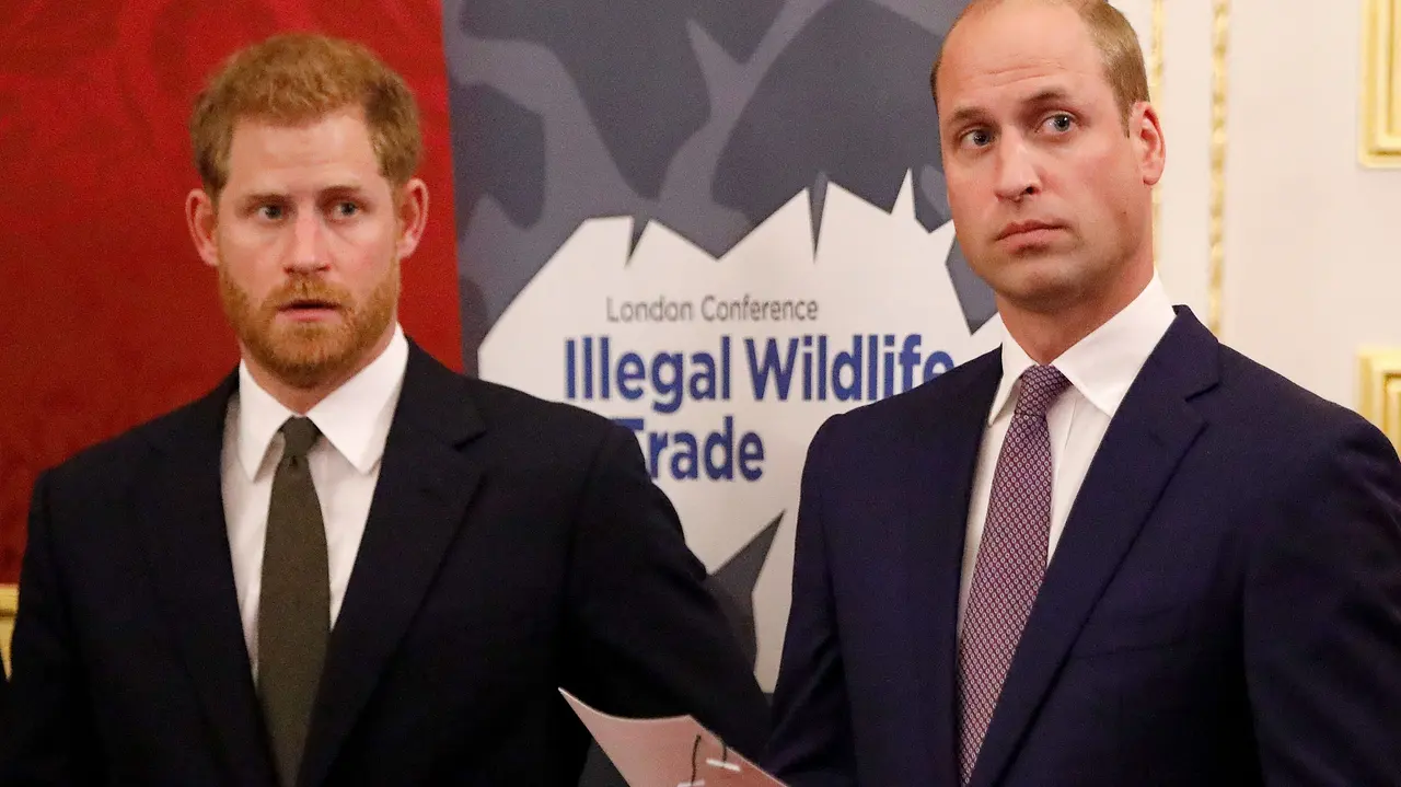 Prinz Harry & Prinz William Prinz Harry & Prinz William - Foto: IMAGO / agefotostock