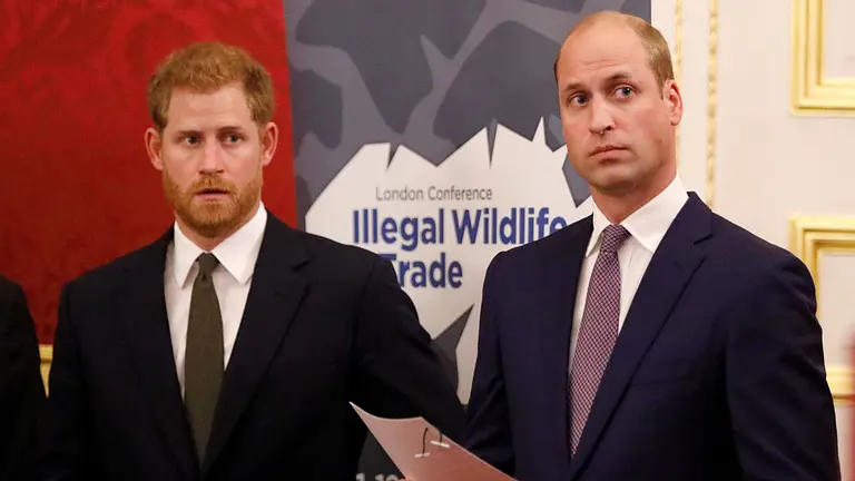 Prinz Harry & Prinz William