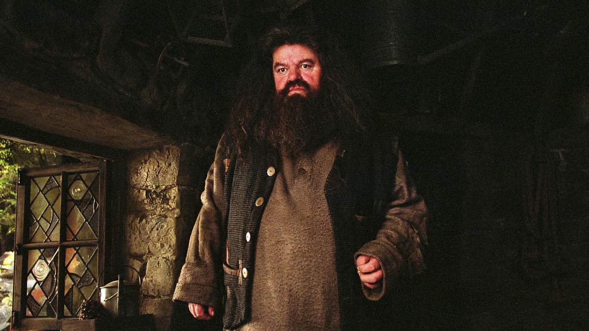 Robbie Coltrane Hagrid 