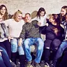 Die Wollnys