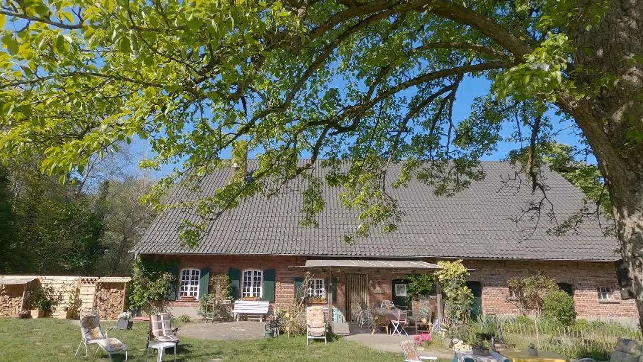 Das Sommerhaus der Stars Das Sommerhaus der Stars - Foto: RTL