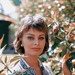 Sophia Loren jung - Foto: Getty Images