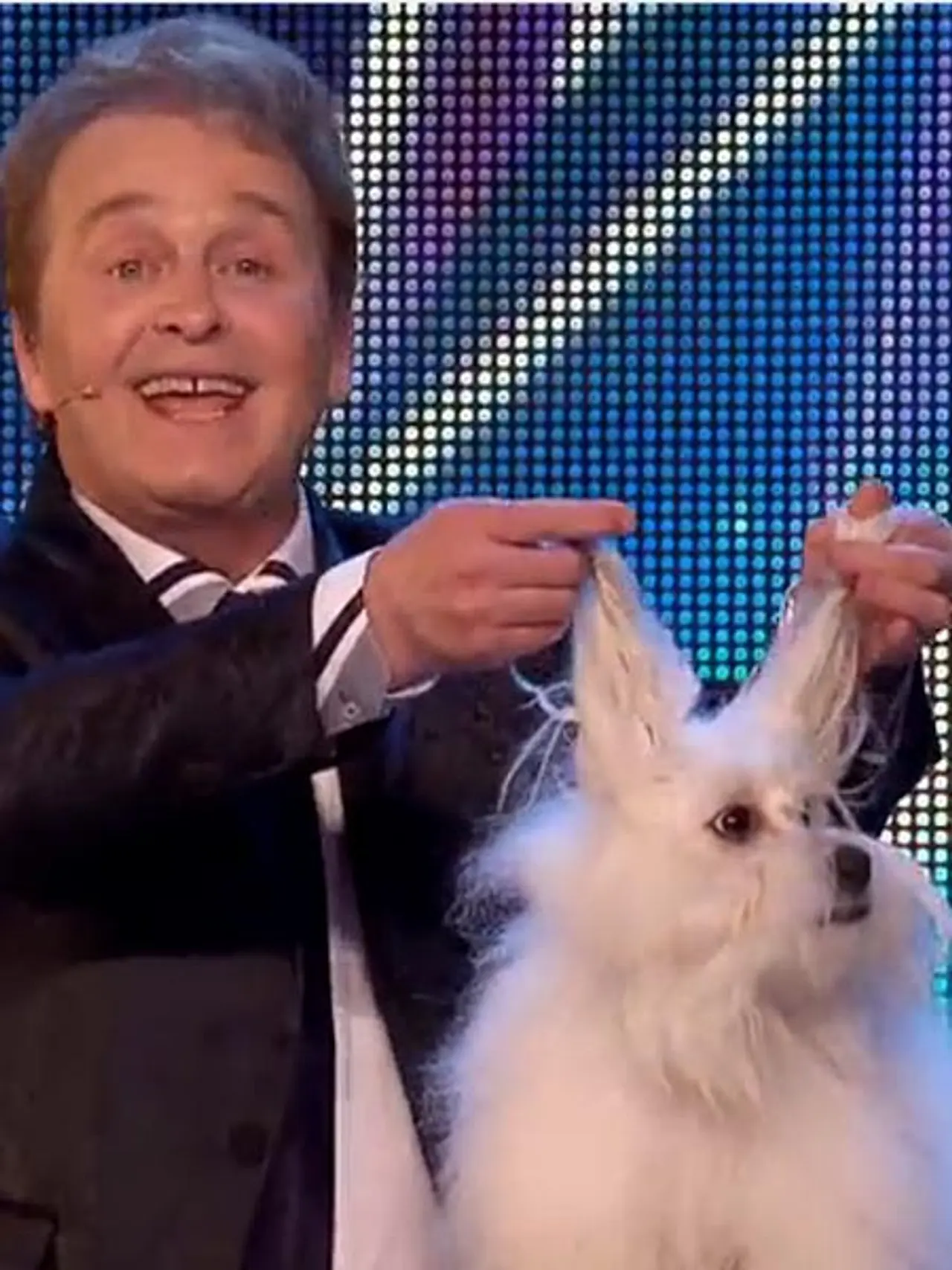 Hund Wendy spitzt die Ohren und antwortet schalgfertig Hund Wendy spitzt die Ohren und antwortet schalgfertig - Foto: youtube/britain´sgottalent