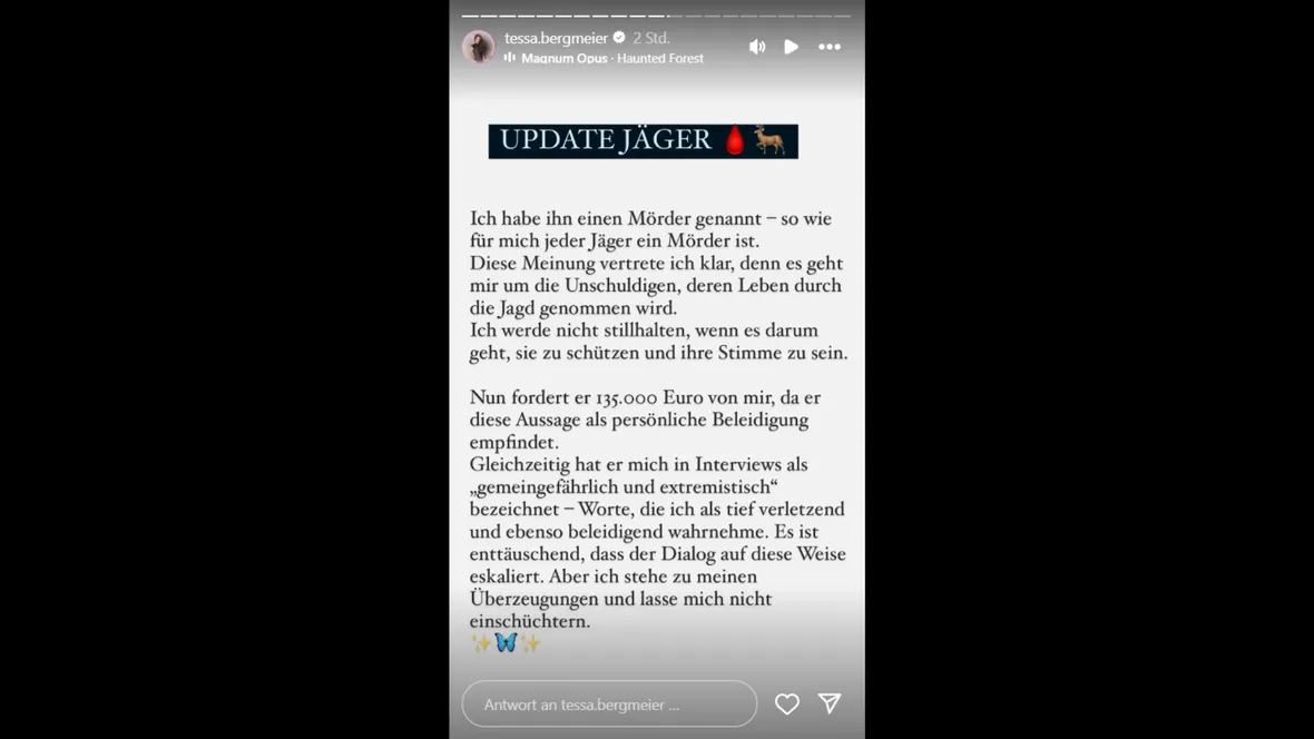 Screenshot von Tessa Bergmeiers Statement Screenshot von Tessa Bergmeiers Statement
