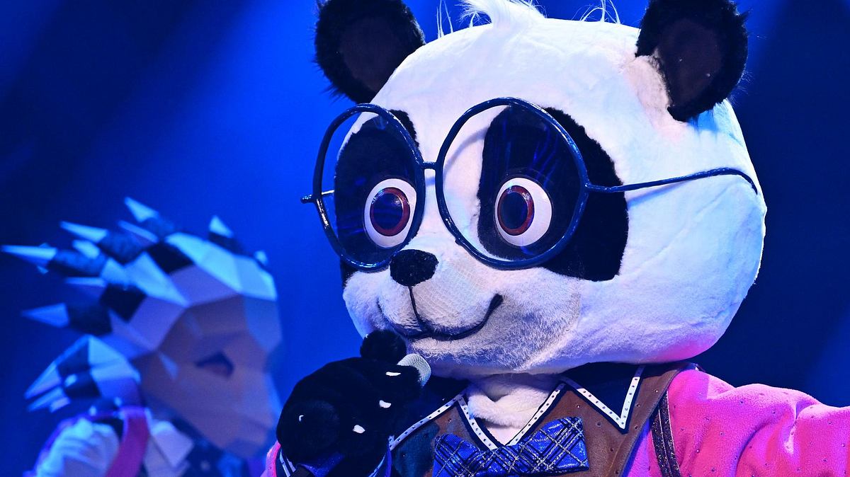 Der Panda bei Masked Singer