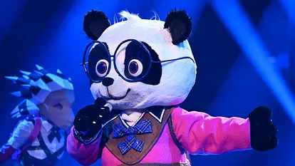 Der Panda aus der Sendung "The Masked Singer"