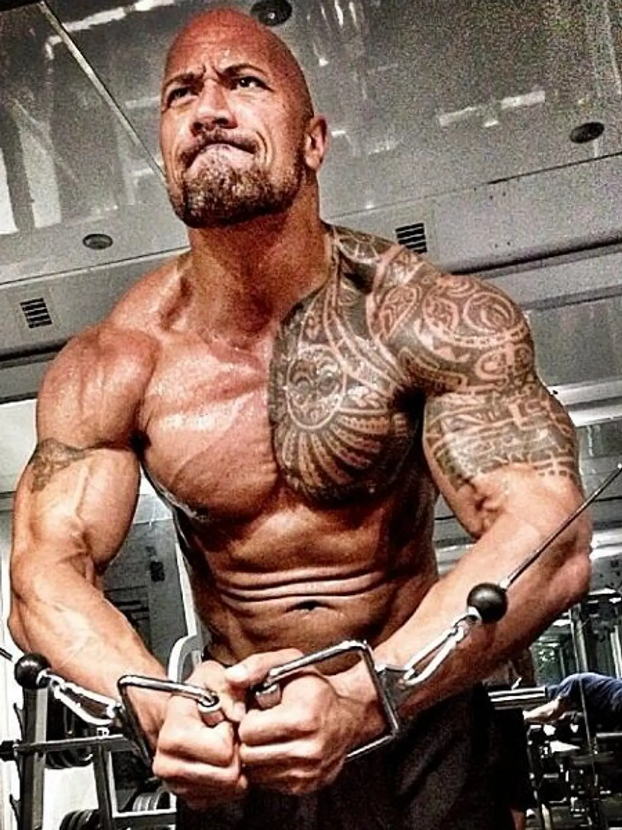 Futter für die Muskeln! Dwayne enthüllt seinen knallharten Diät-Plan Futter für die Muskeln! Dwayne enthüllt seinen knallharten Diät-Plan - Foto: Dwayne Johnson / Twitter