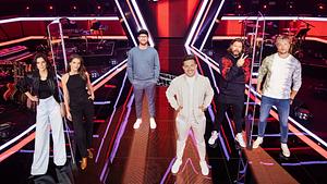 The Voice of Germany Coaches - Foto: ProSieben/ Sat.1/ Richard Hübner