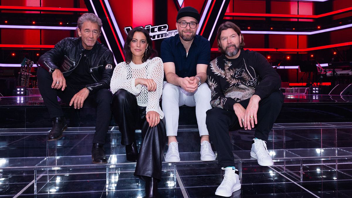 The Voice Coaches