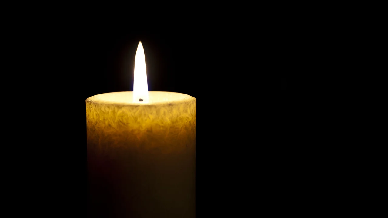 "Hartz und Herzlich"-Lisa-Marie ist tot Hartz und Herzlich-Lisa-Marie ist tot - Foto: iStock