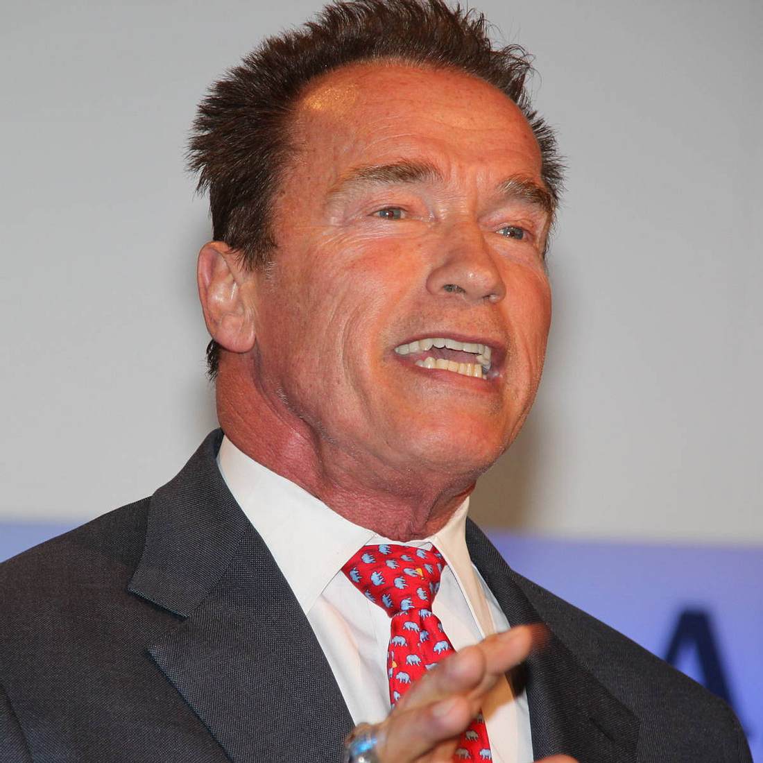 Arnold Schwarzenegger: Glücklich mit Frisur