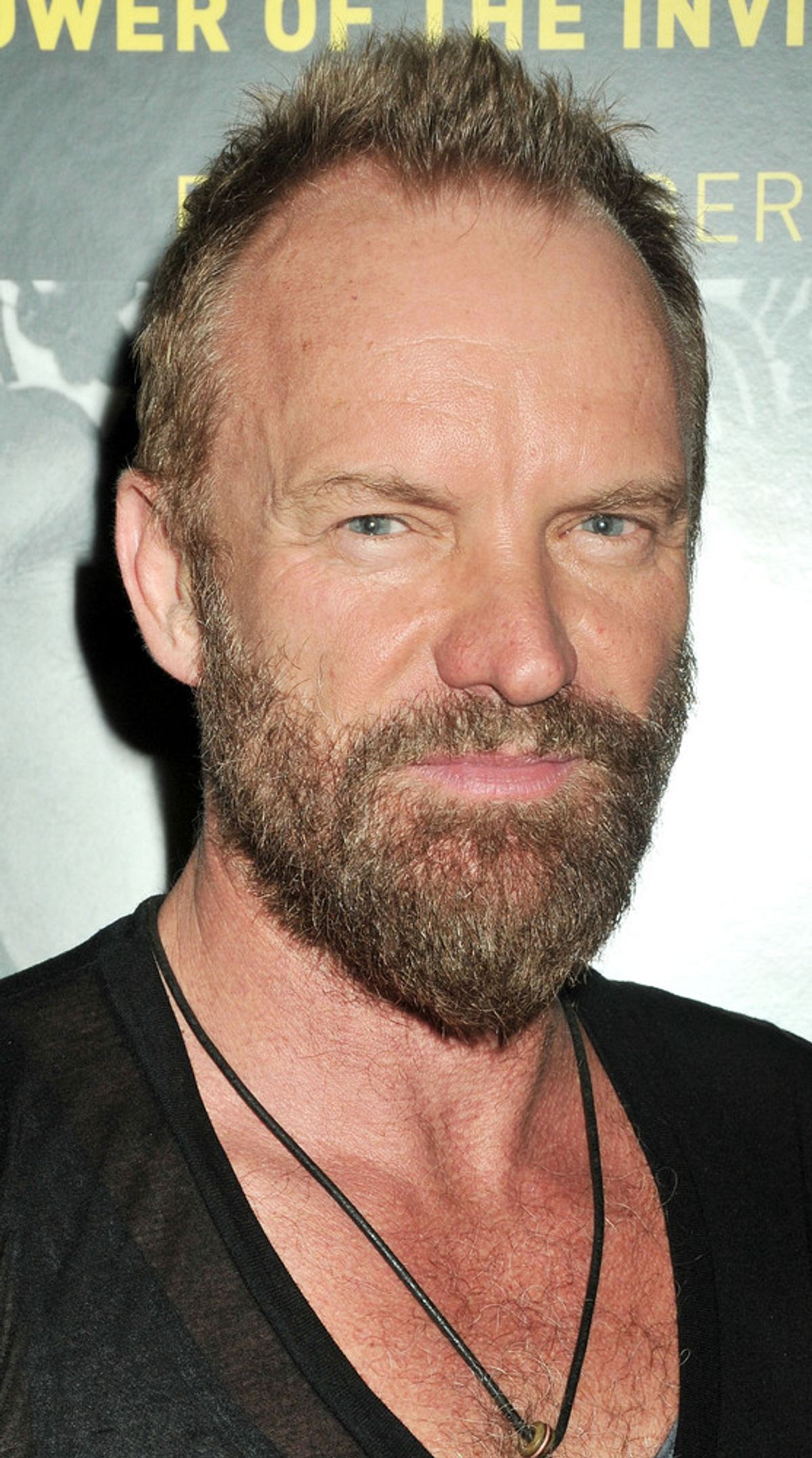 Sting will sein Leben vermusicaln