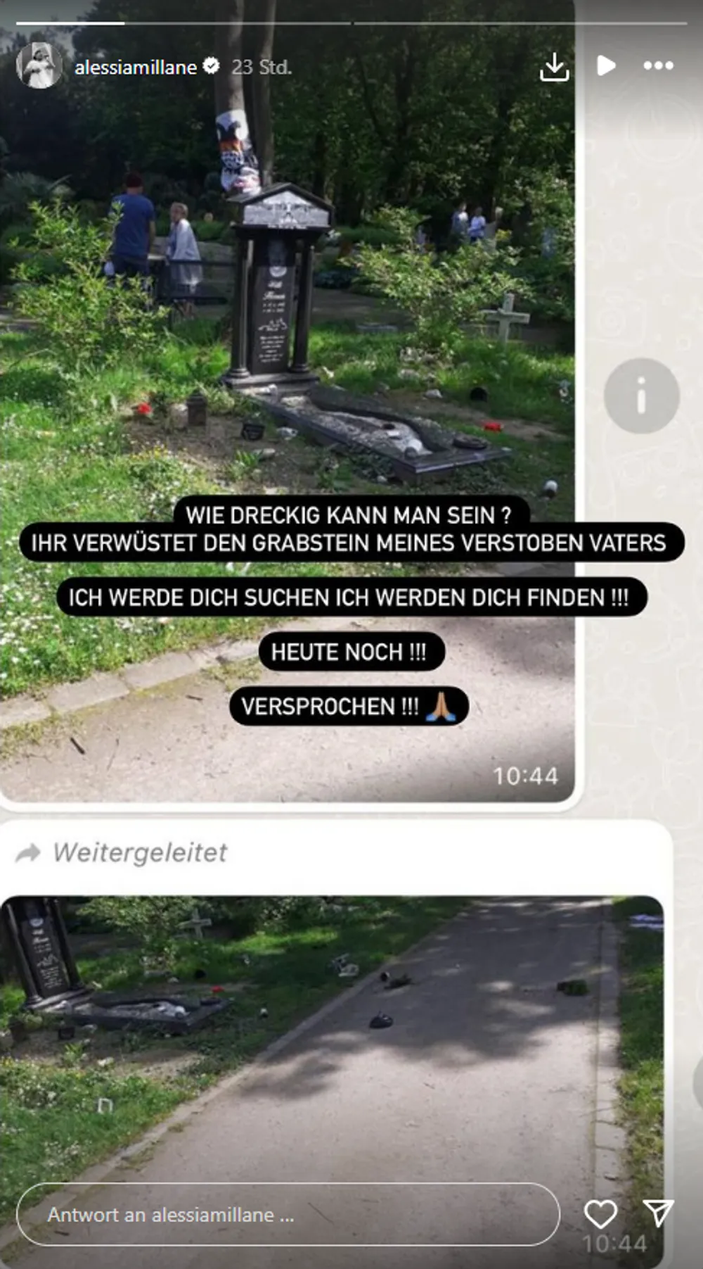 Alessia Herren zeigt das verwüstete Grab von Willi Herren Alessia Herren zeigt das verwüstete Grab von Willi Herren