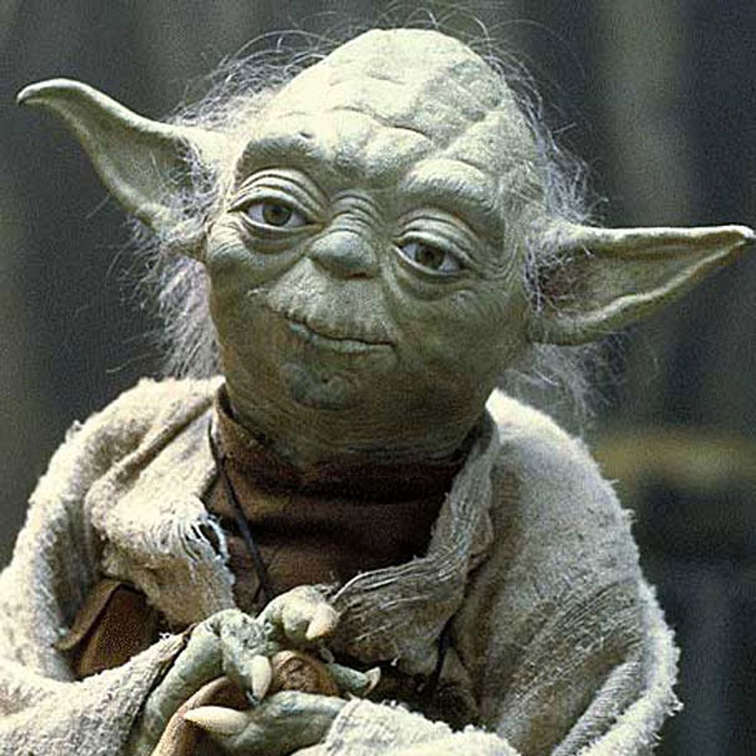 Feiert Yoda sein Comeback?
